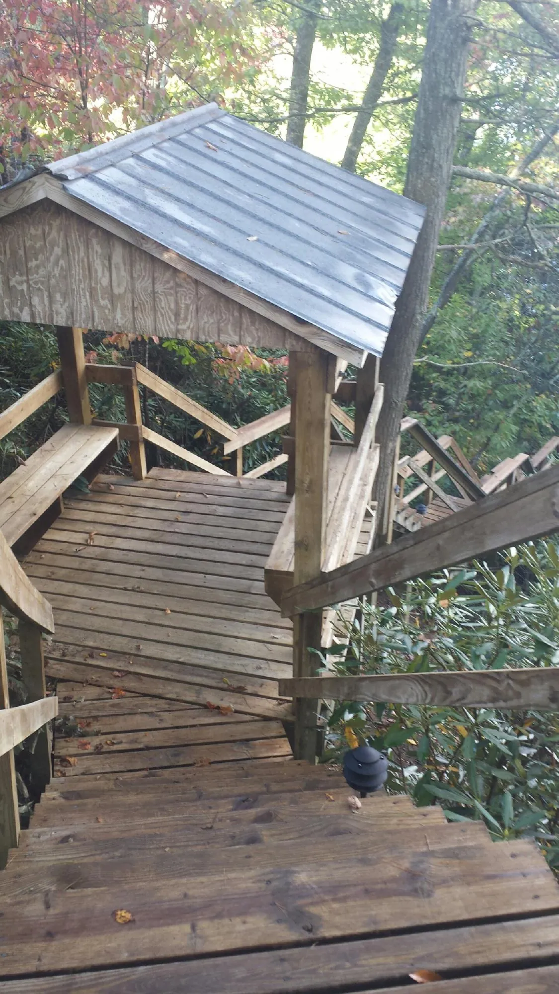 Metal roofed shelter over wooden steps on a wooded walkway — Skylight Repair & Installation work by our crew in Binford