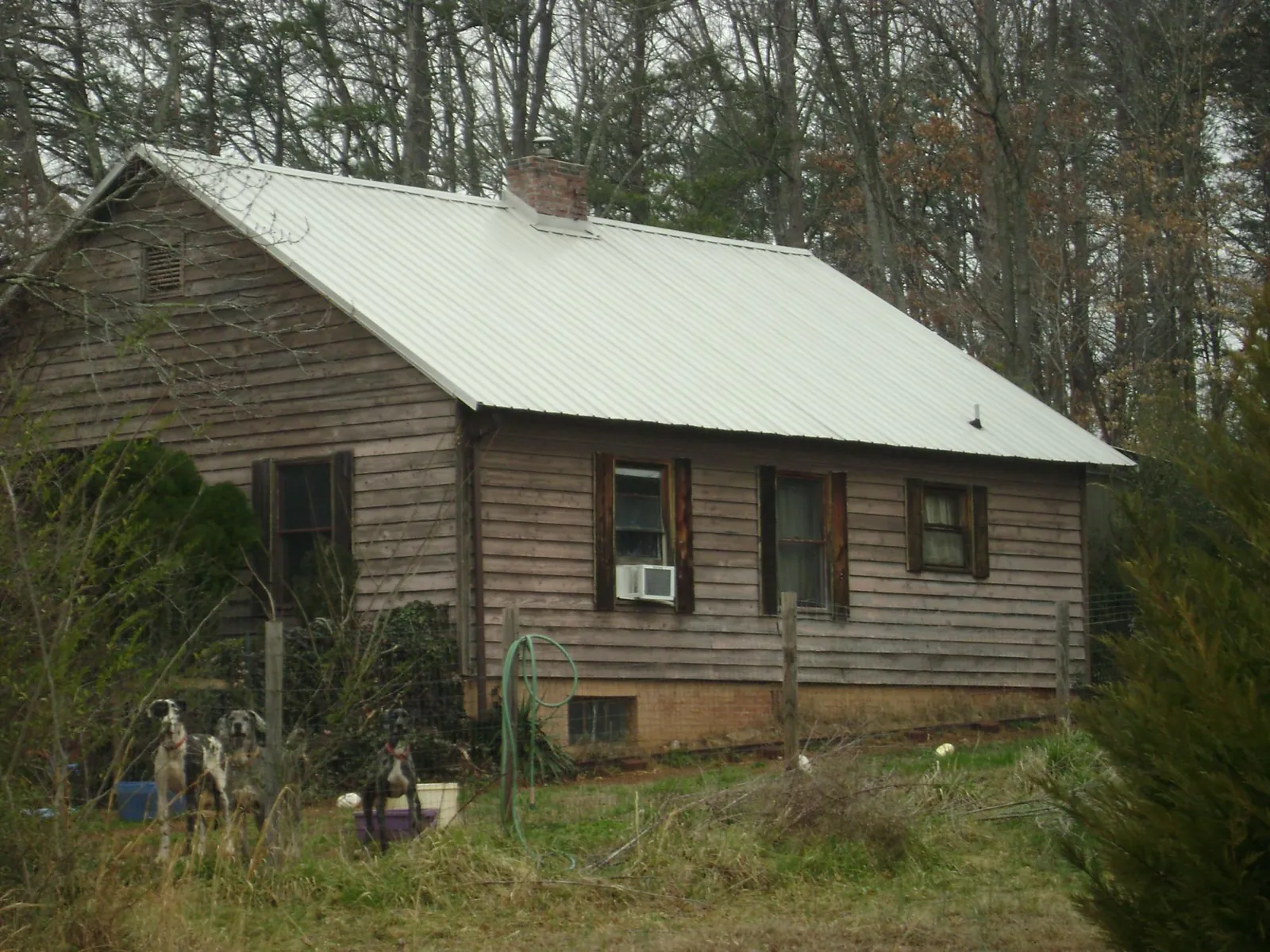 White metal roof on an old wood sided farmhouse, from a Asphalt Shingle Roof Repair job in Binford